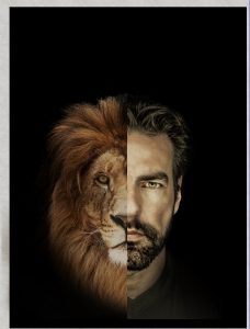 05_varejo_leao_homem